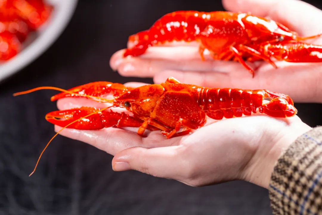 下午1点,十堰这家餐厅刚做好的虾被紧急送往武汉...休闲区蓝鸢梦想 - Www.slyday.coM 下午1点,十堰这家餐厅刚做好的虾被紧急送往武汉...休闲区蓝鸢梦想 - Www.slyday.coM