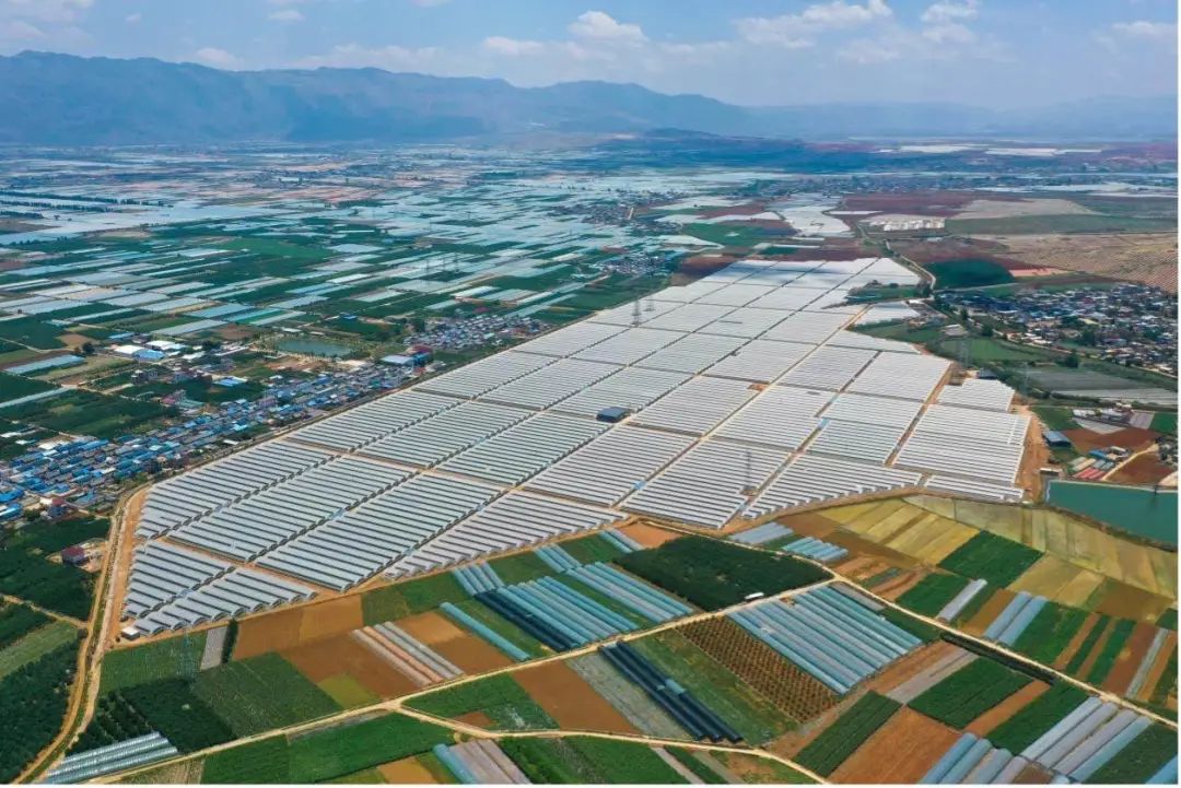 在实现水果自由之后,水果行业该走向何方?|8分钟发布会休闲区蓝鸢梦想 - Www.slyday.coM 在实现水果自由之后,水果行业该走向何方?|8分钟发布会休闲区蓝鸢梦想 - Www.slyday.coM