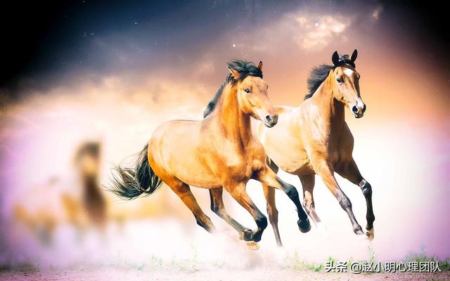 赵小明:孩子考上清北 985 211,从此走上人生巅峰?休闲区蓝鸢梦想 - Www.slyday.coM 赵小明:孩子考上清北 985 211,从此走上人生巅峰?休闲区蓝鸢梦想 - Www.slyday.coM