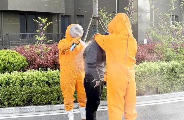 男子正与朋友聊着天,后背却突然爬满了蜜蜂 网友:这奇妙的缘分休闲区蓝鸢梦想 - Www.slyday.coM 男子正与朋友聊着天,后背却突然爬满了蜜蜂 网友:这奇妙的缘分休闲区蓝鸢梦想 - Www.slyday.coM