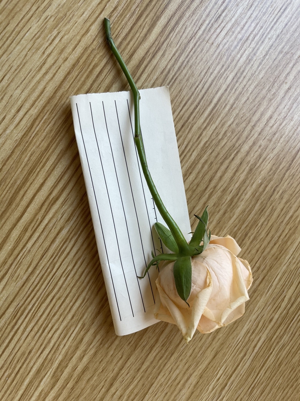 暖新闻|小学生用雨衣遮挡为老师送午饭休闲区蓝鸢梦想 - Www.slyday.coM 暖新闻|小学生用雨衣遮挡为老师送午饭休闲区蓝鸢梦想 - Www.slyday.coM