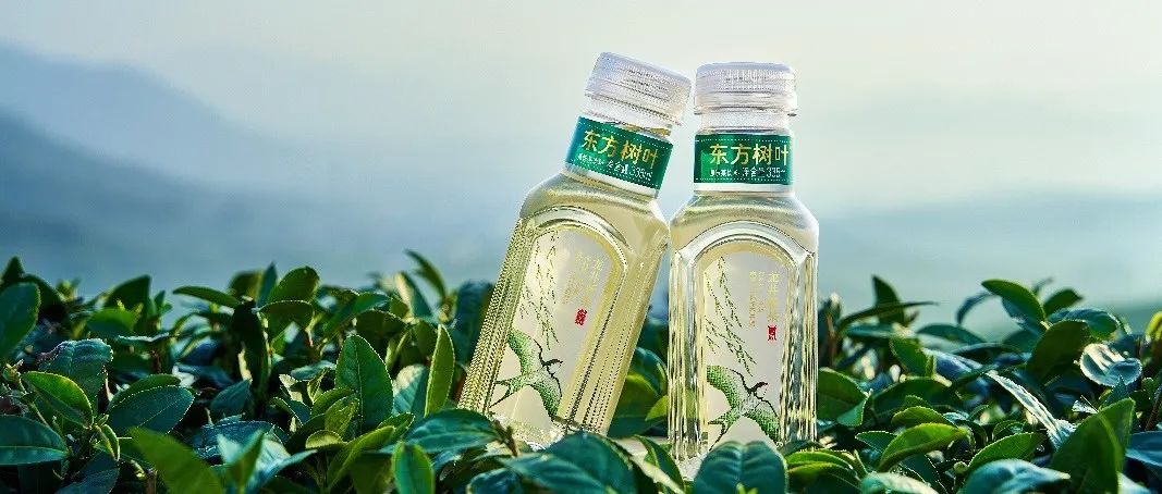 最新发现:南昌半边街附近新茶是什么?挑选优质茶叶的方法与推荐指南