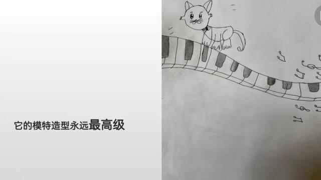 谁要一只免费的小猫咪?南京24名一年级萌娃原创绘本超可爱休闲区蓝鸢梦想 - Www.slyday.coM 谁要一只免费的小猫咪?南京24名一年级萌娃原创绘本超可爱休闲区蓝鸢梦想 - Www.slyday.coM