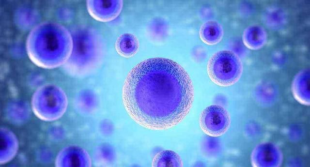 断食二天可以重启人体免疫系统？<a href=