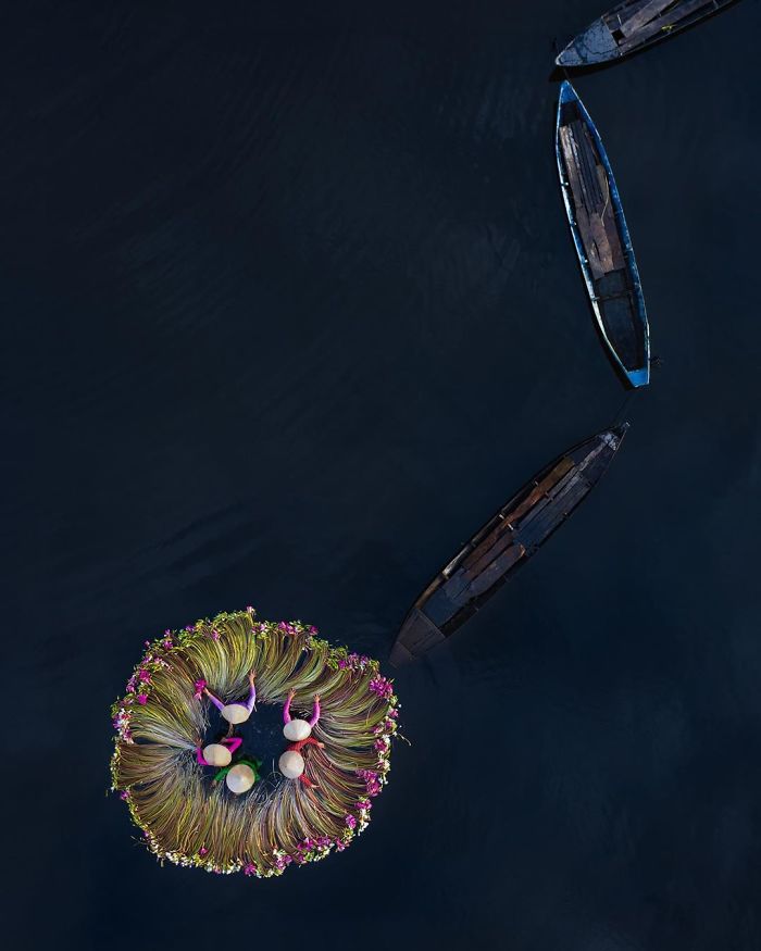 越南收获百合花，全靠洪水来帮忙，每一张照片都是一道风景