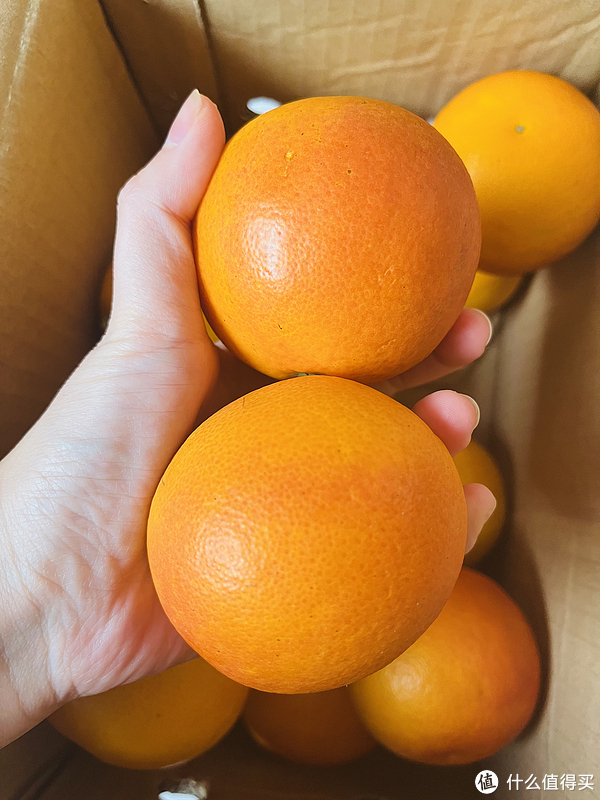 风评很好的【哈佛减肥食谱】了解一下?!小体重减肥也很友好!减肥也可以大鱼大肉,喜欢的不要错过!休闲区蓝鸢梦想 - Www.slyday.coM 风评很好的【哈佛减肥食谱】了解一下?!小体重减肥也很友好!减肥也可以大鱼大肉,喜欢的不要错过!休闲区蓝鸢梦想 - Www.slyday.coM