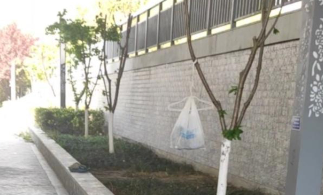 男子在桥洞下定居,决定不娶妻不买房,网友:实在是羡慕休闲区蓝鸢梦想 - Www.slyday.coM 男子在桥洞下定居,决定不娶妻不买房,网友:实在是羡慕休闲区蓝鸢梦想 - Www.slyday.coM