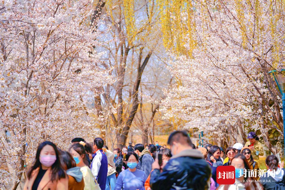 文旅部:清明假期国内旅游出游7541.9万人次 同比减少26.2%休闲区蓝鸢梦想 - Www.slyday.coM 文旅部:清明假期国内旅游出游7541.9万人次 同比减少26.2%休闲区蓝鸢梦想 - Www.slyday.coM