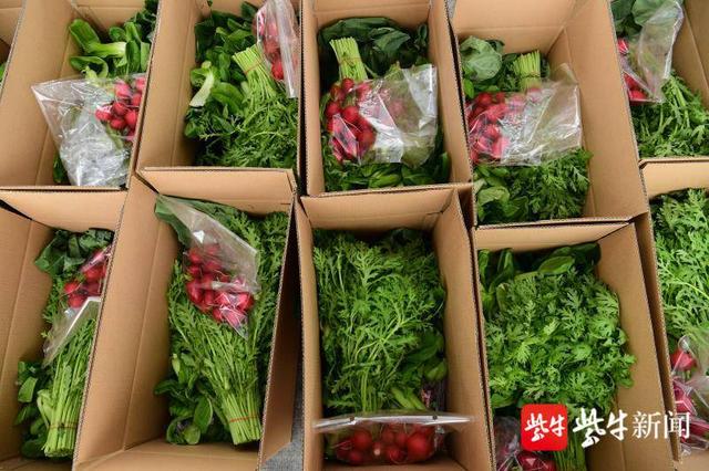 热心市民帮菜农销售万余斤蔬菜500份蔬菜礼盒送往抗疫一线
