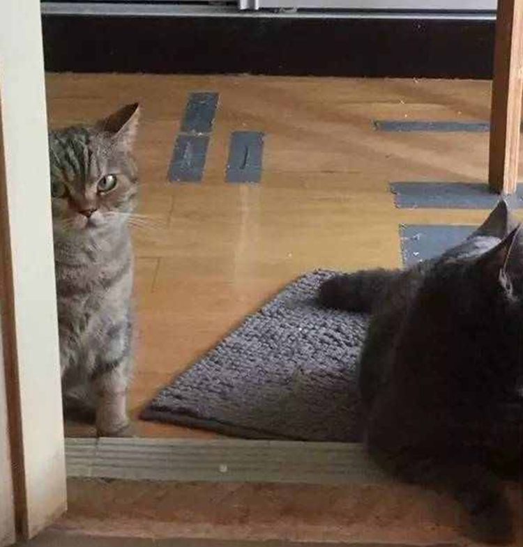 ��ʺ�ٶ�����ʳ�������˾�¶������飬���ѿ���ֱ���ǲ���