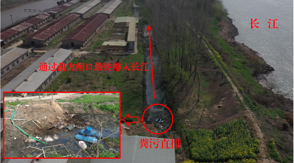 2022年3月26日，督察组现场督察发现，扬中市众康畜牧养殖有限公司将粪污经厂区水沟排入长江