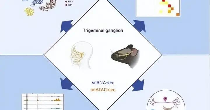 一脱二摸三叉四捅到底是什么意思 新手怎么快速掌握这套核心方法