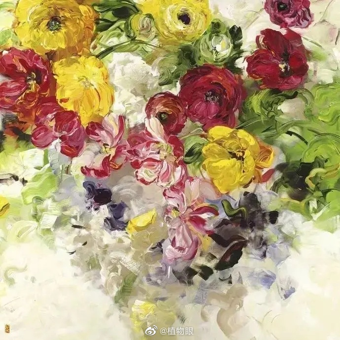 今日 流动的繁花 <a href=