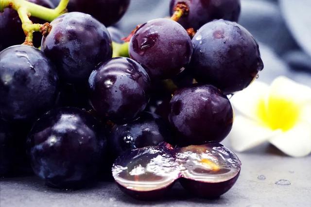 8个变老的原因,6个高效抗衰方法,很多人都不知道休闲区蓝鸢梦想 - Www.slyday.coM 8个变老的原因,6个高效抗衰方法,很多人都不知道休闲区蓝鸢梦想 - Www.slyday.coM