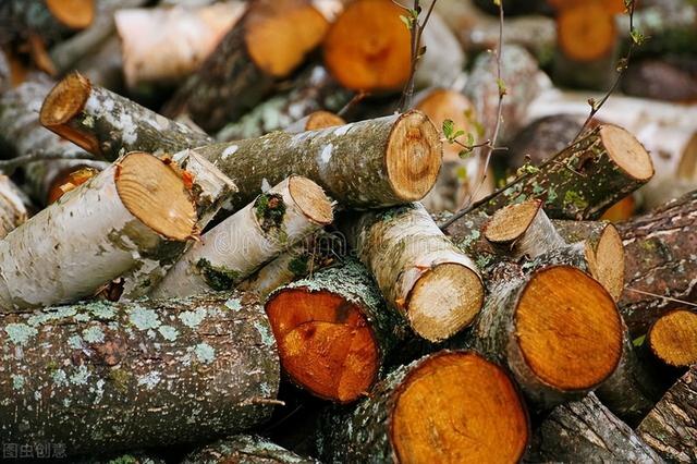 一位从不抽烟的家庭主妇,查出肺癌竟已到晚期!警惕5大高危因素休闲区蓝鸢梦想 - Www.slyday.coM 一位从不抽烟的家庭主妇,查出肺癌竟已到晚期!警惕5大高危因素休闲区蓝鸢梦想 - Www.slyday.coM