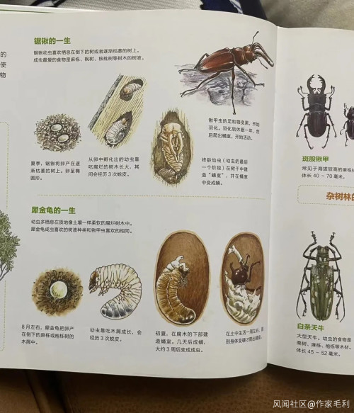 上海封控后,儿子逐渐贝爷化……注:本文部分图片可能引起不适,请谨慎观看休闲区蓝鸢梦想 - Www.slyday.coM 上海封控后,儿子逐渐贝爷化……注:本文部分图片可能引起不适,请谨慎观看休闲区蓝鸢梦想 - Www.slyday.coM