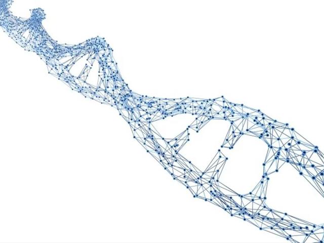 8个变老的原因,6个高效抗衰方法,很多人都不知道休闲区蓝鸢梦想 - Www.slyday.coM 8个变老的原因,6个高效抗衰方法,很多人都不知道休闲区蓝鸢梦想 - Www.slyday.coM