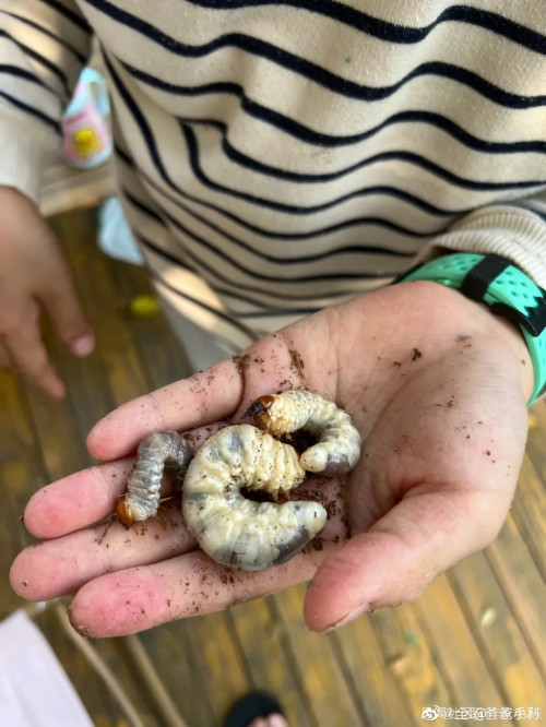 上海封控后,儿子逐渐贝爷化……注:本文部分图片可能引起不适,请谨慎观看休闲区蓝鸢梦想 - Www.slyday.coM 上海封控后,儿子逐渐贝爷化……注:本文部分图片可能引起不适,请谨慎观看休闲区蓝鸢梦想 - Www.slyday.coM