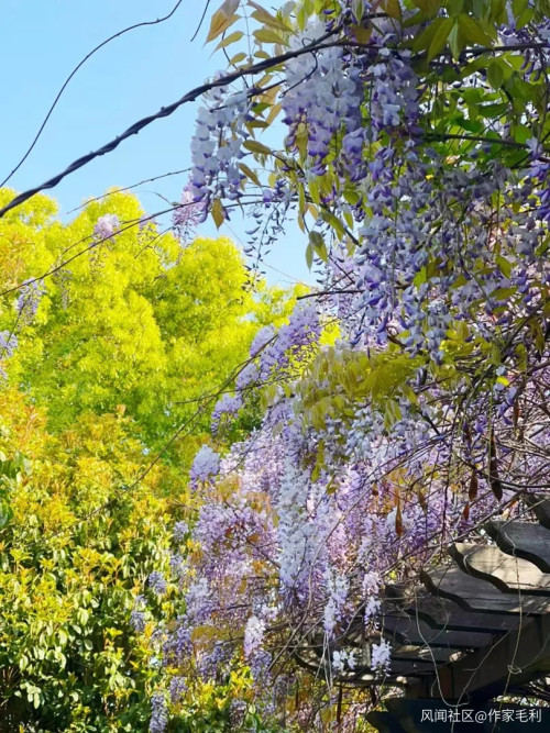 上海封控后,儿子逐渐贝爷化……注:本文部分图片可能引起不适,请谨慎观看休闲区蓝鸢梦想 - Www.slyday.coM 上海封控后,儿子逐渐贝爷化……注:本文部分图片可能引起不适,请谨慎观看休闲区蓝鸢梦想 - Www.slyday.coM