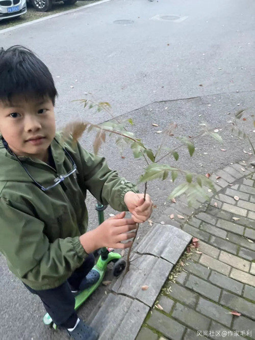 上海封控后,儿子逐渐贝爷化……注:本文部分图片可能引起不适,请谨慎观看休闲区蓝鸢梦想 - Www.slyday.coM 上海封控后,儿子逐渐贝爷化……注:本文部分图片可能引起不适,请谨慎观看休闲区蓝鸢梦想 - Www.slyday.coM