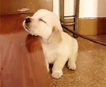 8个变老的原因,6个高效抗衰方法,很多人都不知道休闲区蓝鸢梦想 - Www.slyday.coM 8个变老的原因,6个高效抗衰方法,很多人都不知道休闲区蓝鸢梦想 - Www.slyday.coM