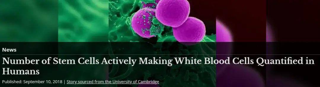 8个变老的原因,6个高效抗衰方法,很多人都不知道休闲区蓝鸢梦想 - Www.slyday.coM 8个变老的原因,6个高效抗衰方法,很多人都不知道休闲区蓝鸢梦想 - Www.slyday.coM