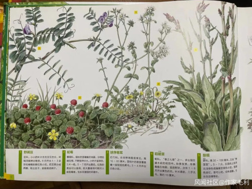 上海封控后,儿子逐渐贝爷化……注:本文部分图片可能引起不适,请谨慎观看休闲区蓝鸢梦想 - Www.slyday.coM 上海封控后,儿子逐渐贝爷化……注:本文部分图片可能引起不适,请谨慎观看休闲区蓝鸢梦想 - Www.slyday.coM