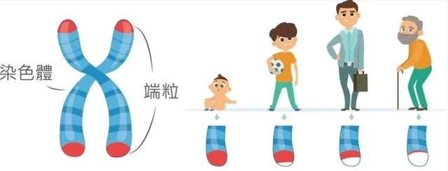 8个变老的原因,6个高效抗衰方法,很多人都不知道休闲区蓝鸢梦想 - Www.slyday.coM 8个变老的原因,6个高效抗衰方法,很多人都不知道休闲区蓝鸢梦想 - Www.slyday.coM