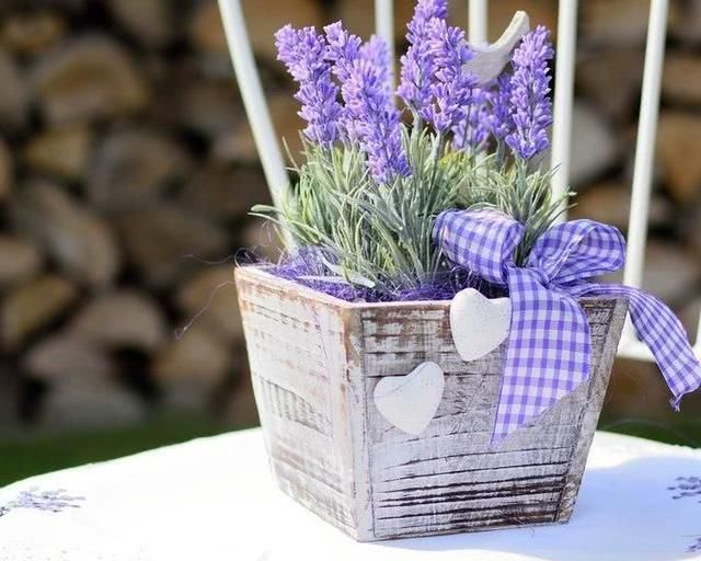 松果菊怎么用效果最好 ed33-d24e68072a15c542057c399c22ca3bce.jpg