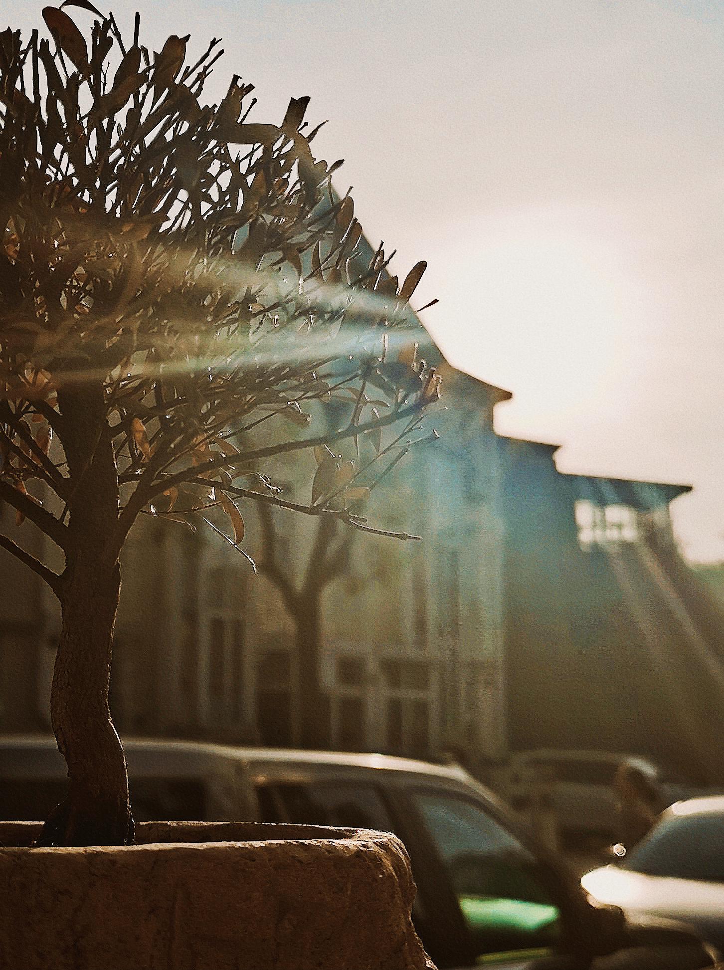 征集图片|四月,疫情中的窗外休闲区蓝鸢梦想 - Www.slyday.coM 征集图片|四月,疫情中的窗外休闲区蓝鸢梦想 - Www.slyday.coM