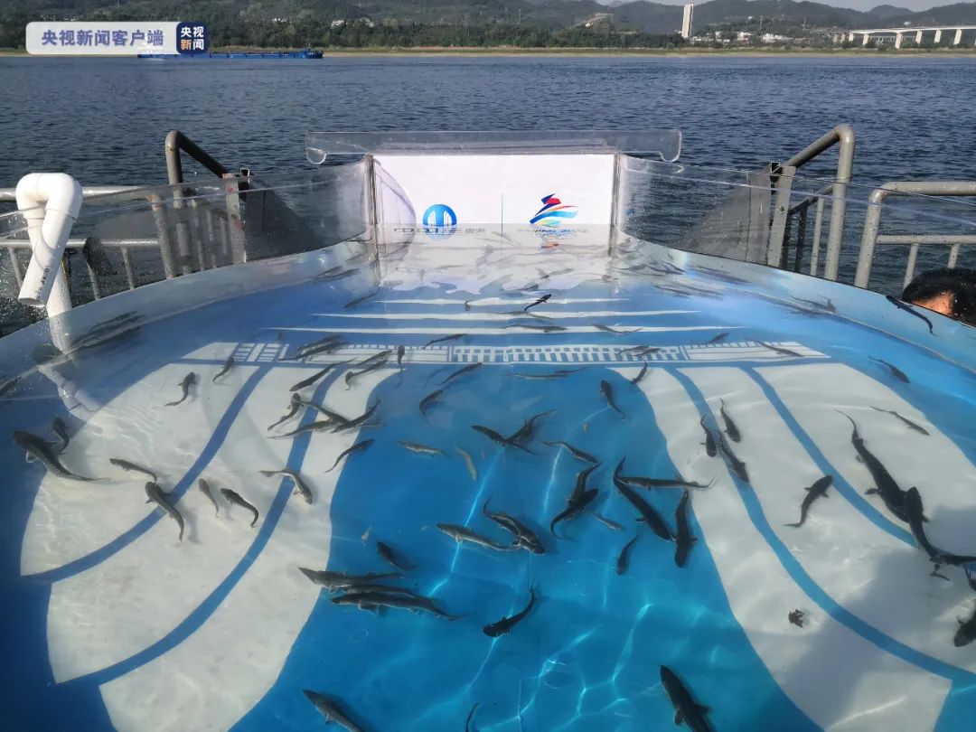 早啊!新闻来了〔2022.04.10〕休闲区蓝鸢梦想 - Www.slyday.coM 早啊!新闻来了〔2022.04.10〕休闲区蓝鸢梦想 - Www.slyday.coM