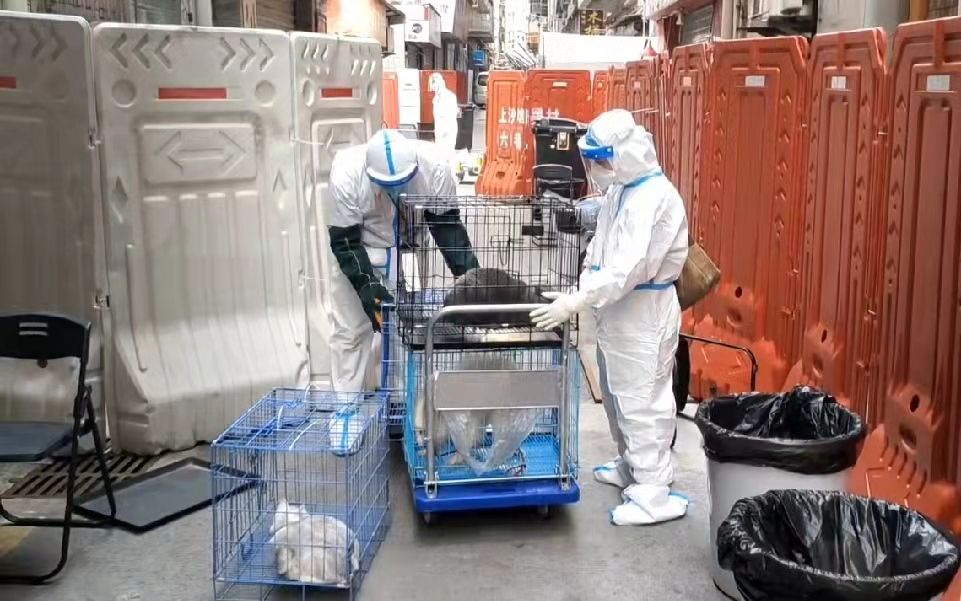 新闻8点见丨普通人也能太空旅行 首个全平民乘组抵达国际空间站休闲区蓝鸢梦想 - Www.slyday.coM 新闻8点见丨普通人也能太空旅行 首个全平民乘组抵达国际空间站休闲区蓝鸢梦想 - Www.slyday.coM