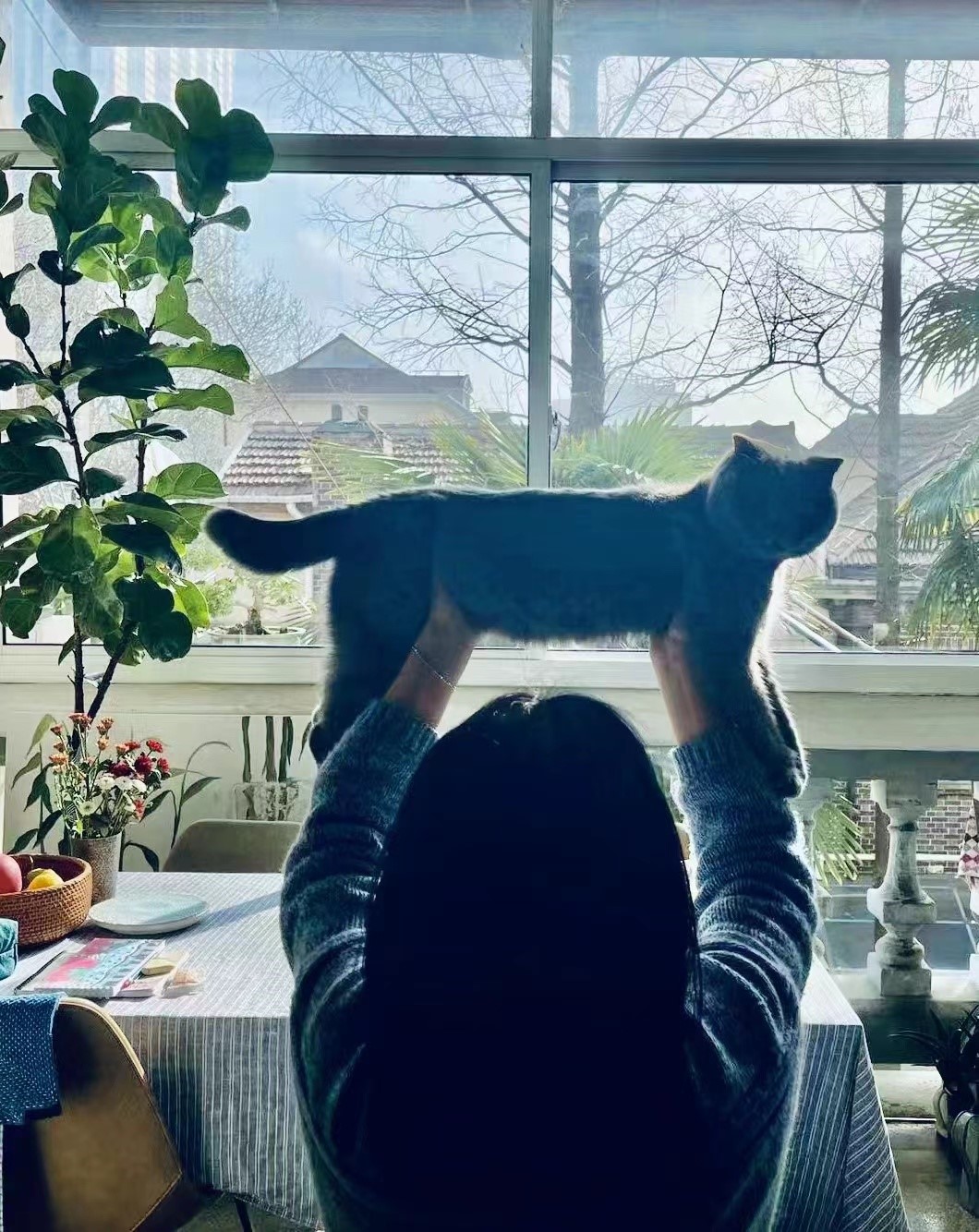 征集图片|四月,疫情中的窗外休闲区蓝鸢梦想 - Www.slyday.coM 征集图片|四月,疫情中的窗外休闲区蓝鸢梦想 - Www.slyday.coM