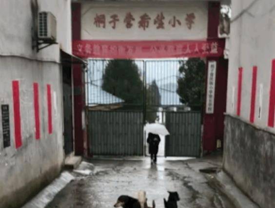 土狗狗每天送小主人上学，风雨无阻，风风雨雨几年如一日休闲区蓝鸢梦想 - Www.slyday.coM