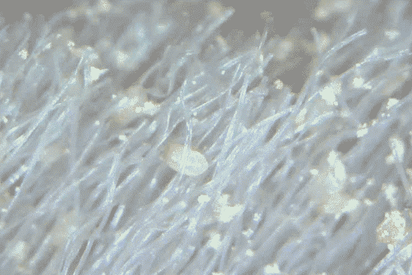 为什么酒店的枕头比家里的更好睡?在家也能有五星级的睡眠体验休闲区蓝鸢梦想 - Www.slyday.coM 为什么酒店的枕头比家里的更好睡?在家也能有五星级的睡眠体验休闲区蓝鸢梦想 - Www.slyday.coM