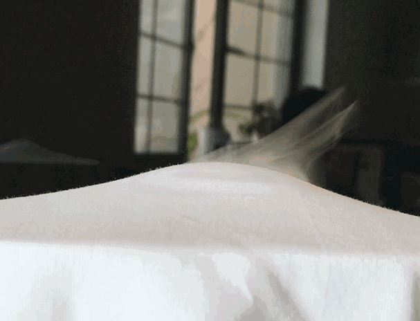 为什么酒店的枕头比家里的更好睡?在家也能有五星级的睡眠体验休闲区蓝鸢梦想 - Www.slyday.coM 为什么酒店的枕头比家里的更好睡?在家也能有五星级的睡眠体验休闲区蓝鸢梦想 - Www.slyday.coM