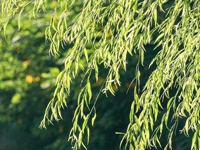 4月11日新闻早知道|昨夜今晨·热点不容错过休闲区蓝鸢梦想 - Www.slyday.coM 4月11日新闻早知道|昨夜今晨·热点不容错过休闲区蓝鸢梦想 - Www.slyday.coM