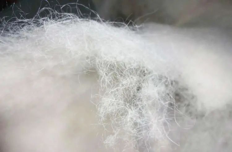 为什么酒店的枕头比家里的更好睡?在家也能有五星级的睡眠体验休闲区蓝鸢梦想 - Www.slyday.coM 为什么酒店的枕头比家里的更好睡?在家也能有五星级的睡眠体验休闲区蓝鸢梦想 - Www.slyday.coM