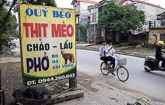 越南，没有流浪猫