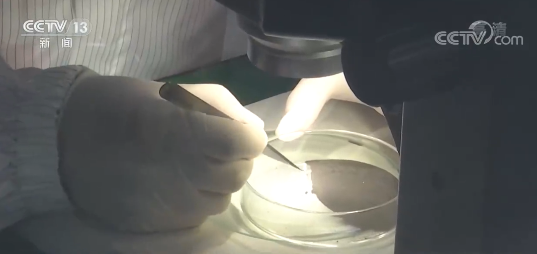 我国科学家发布嫦娥五号月壤最新研究成果!休闲区蓝鸢梦想 - Www.slyday.coM 我国科学家发布嫦娥五号月壤最新研究成果!休闲区蓝鸢梦想 - Www.slyday.coM