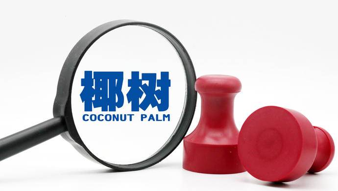 “入学就有车、有房、有高薪”,椰树集团再发争议广告休闲区蓝鸢梦想 - Www.slyday.coM “入学就有车、有房、有高薪”,椰树集团再发争议广告休闲区蓝鸢梦想 - Www.slyday.coM