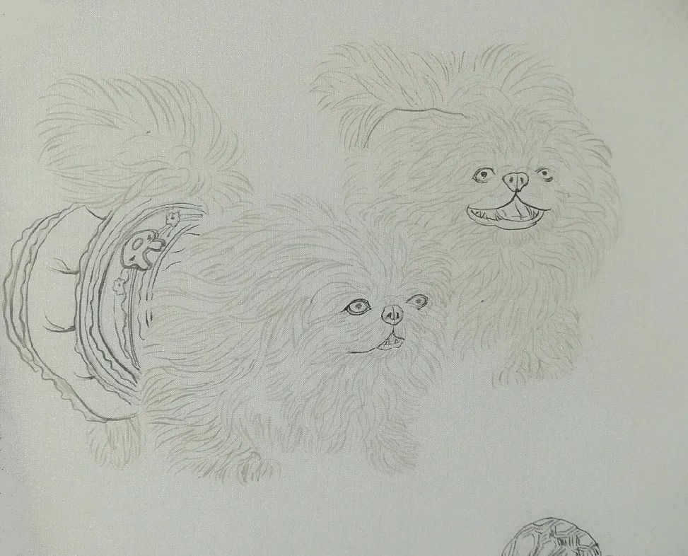 书画联盟丨工笔画狗狗《京巴》绘画步骤