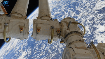 欢迎回家!三声“感觉良好”听到泪目...现场有小动物围观,第一顿饭有面条、馒头、醋溜土豆丝休闲区蓝鸢梦想 - Www.slyday.coM 欢迎回家!三声“感觉良好”听到泪目...现场有小动物围观,第一顿饭有面条、馒头、醋溜土豆丝休闲区蓝鸢梦想 - Www.slyday.coM