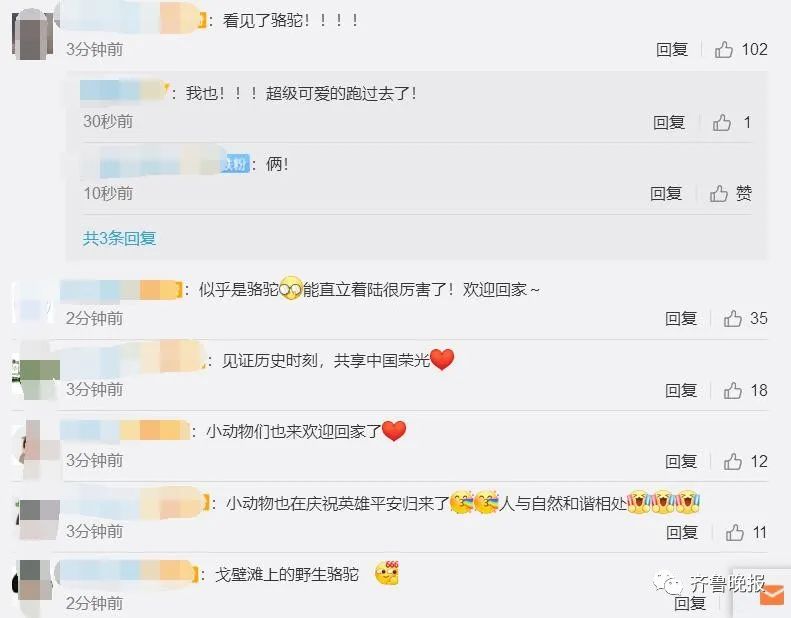 欢迎回家!三声“感觉良好”听到泪目...现场有小动物围观,第一顿饭有面条、馒头、醋溜土豆丝休闲区蓝鸢梦想 - Www.slyday.coM 欢迎回家!三声“感觉良好”听到泪目...现场有小动物围观,第一顿饭有面条、馒头、醋溜土豆丝休闲区蓝鸢梦想 - Www.slyday.coM