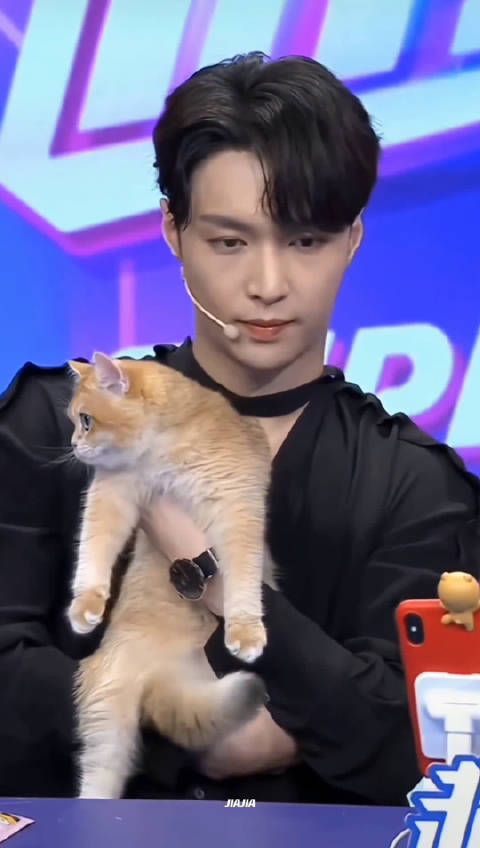 张艺兴的猫好可爱