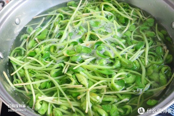 野生海参-谷雨将至，有条件多吃这蔬菜，营养又美味，特别适合中老年人群