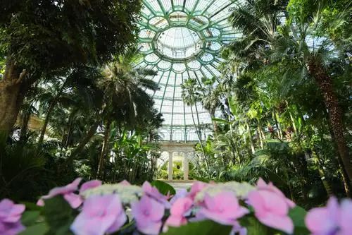 【4.17津早相会】神舟十三号载人飞船返回舱成功着陆丨第六届世界智能大会6月亮相休闲区蓝鸢梦想 - Www.slyday.coM 【4.17津早相会】神舟十三号载人飞船返回舱成功着陆丨第六届世界智能大会6月亮相休闲区蓝鸢梦想 - Www.slyday.coM