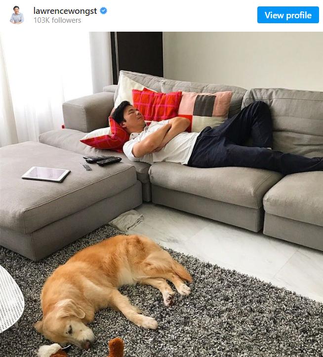 黄循财在社交平台上展示爱犬 图源:黄循财个人社交媒体账号