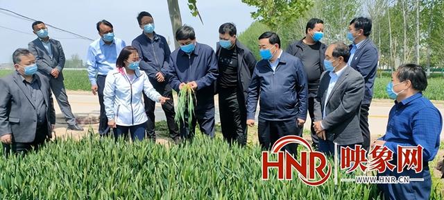 商丘市农业农村局局长袁其杰调研小麦“两病”防控及中后期田间管理工作休闲区蓝鸢梦想 - Www.slyday.coM 商丘市农业农村局局长袁其杰调研小麦“两病”防控及中后期田间管理工作休闲区蓝鸢梦想 - Www.slyday.coM