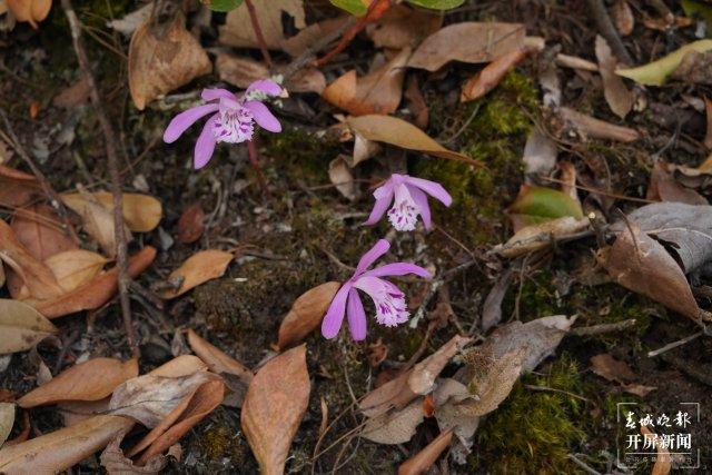 本周,降温+降雨+周日要上班!祝好运休闲区蓝鸢梦想 - Www.slyday.coM 本周,降温+降雨+周日要上班!祝好运休闲区蓝鸢梦想 - Www.slyday.coM